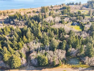 0 Lot 20 Ranta Road , South Bend, WA 98586 - Photo 21