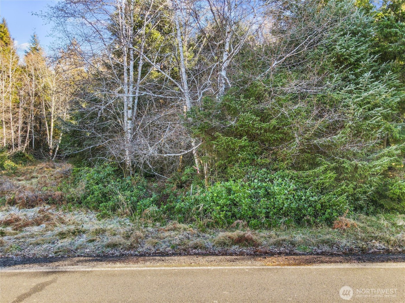 0 Lot 20 Ranta Road , South Bend, WA 98586