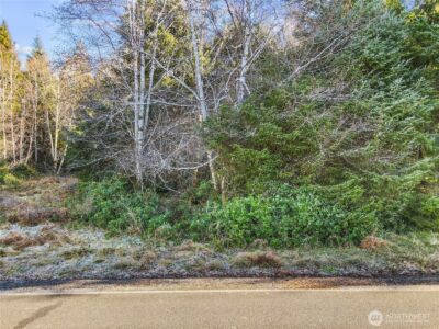 0 Lot 20 Ranta Road , South Bend, WA 98586 - Photo 27
