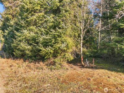 0 Lot 20 Ranta Road , South Bend, WA 98586 - Photo 28