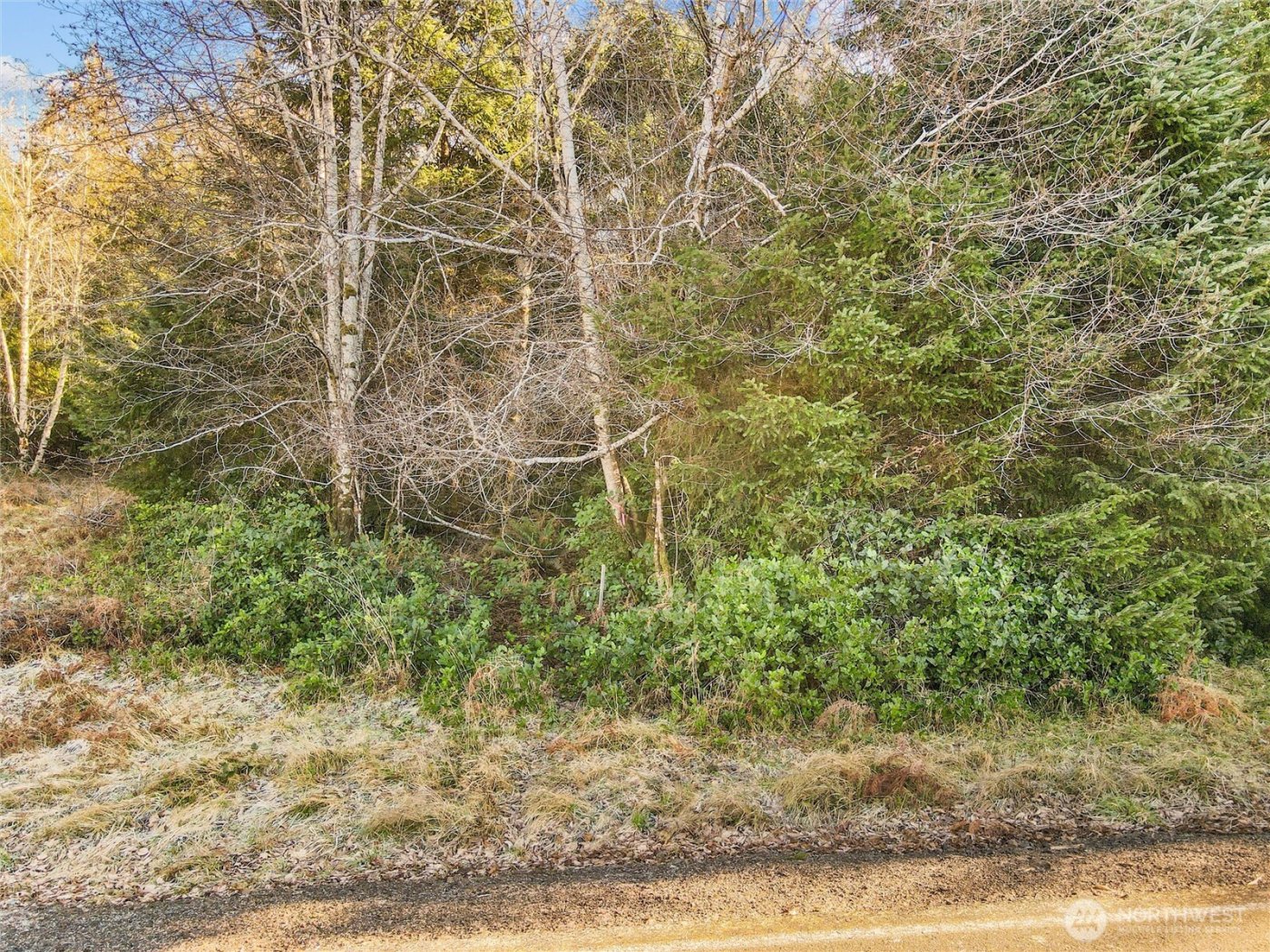 0 Lot 20 Ranta Road , South Bend, WA 98586