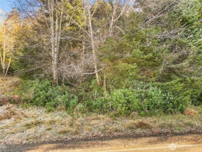 0 Lot 20 Ranta Road , South Bend, WA 98586 - Photo 29