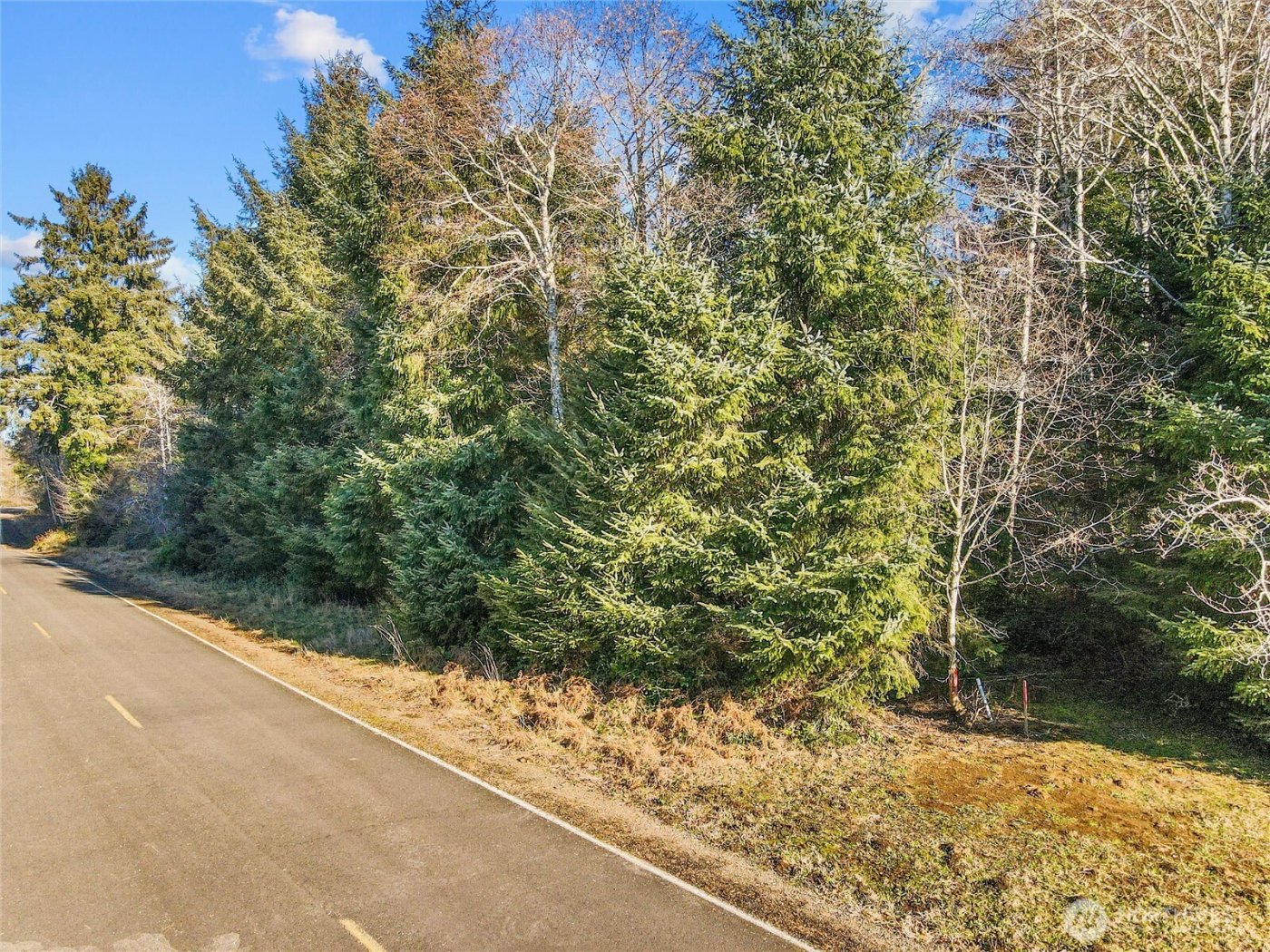 0 Lot 20 Ranta Road , South Bend, WA 98586