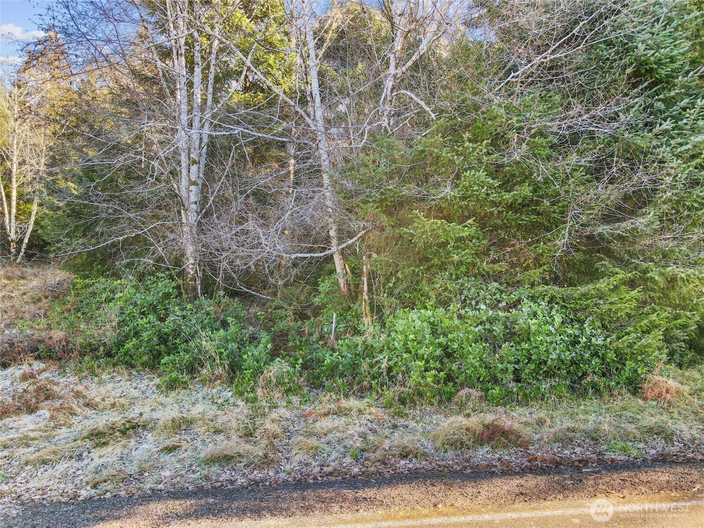 0 Lot 20 Ranta Road , South Bend, WA 98586