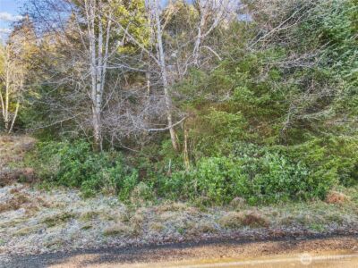 0 Lot 20 Ranta Road , South Bend, WA 98586 - Photo 31