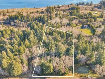 0 Lot 20 Ranta Road , South Bend, WA 98586 - Photo 5