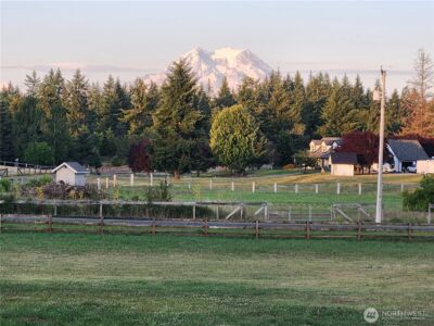 14919 141st Lane SE, Yelm, WA 98597 - Photo 39
