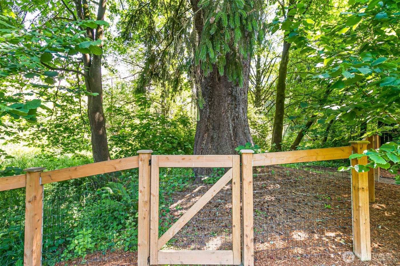 32794 Abrams Avenue , Black Diamond, WA 98010