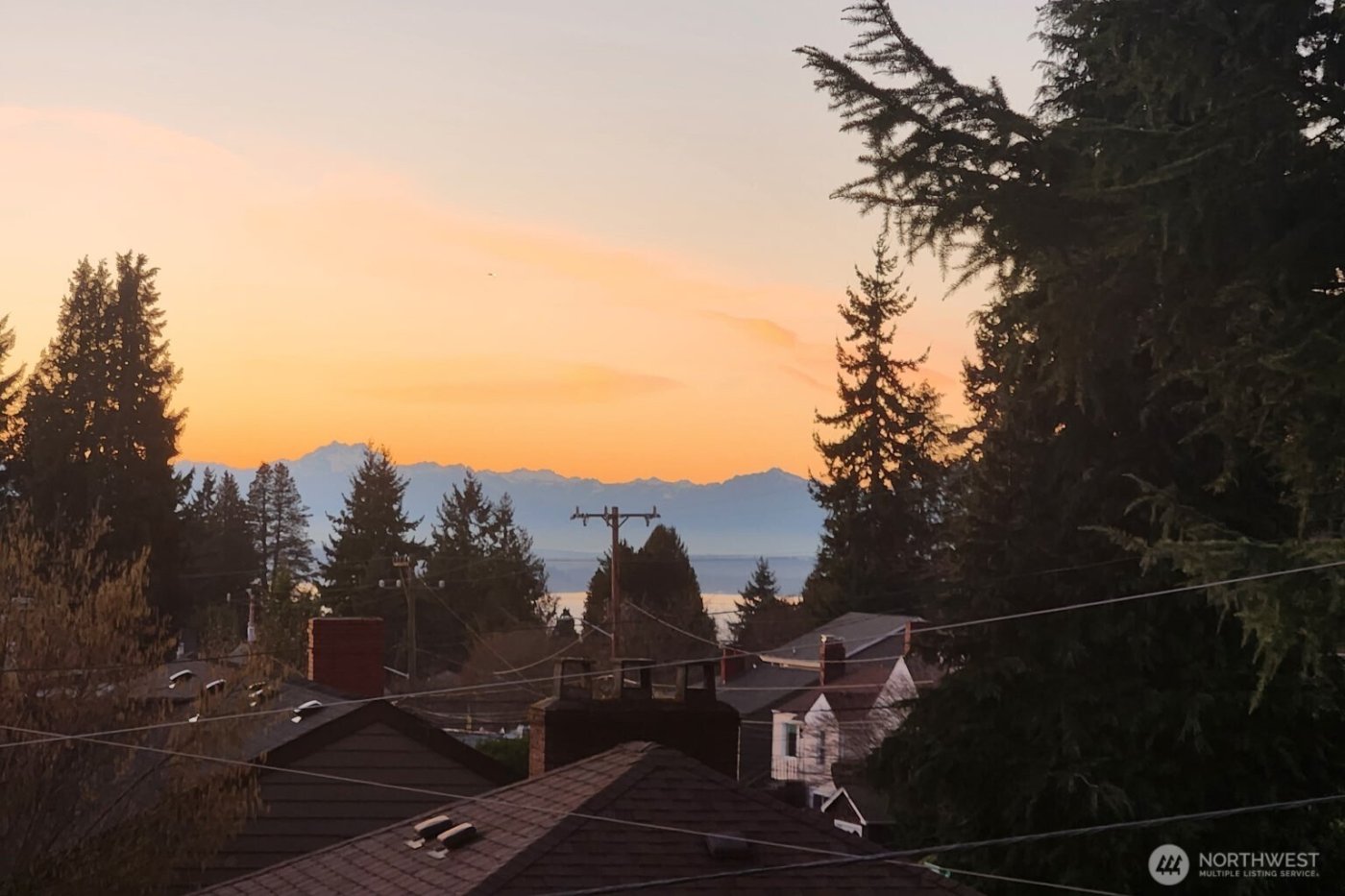 3501 SW Holden Street #303, Seattle, WA 98126-3449