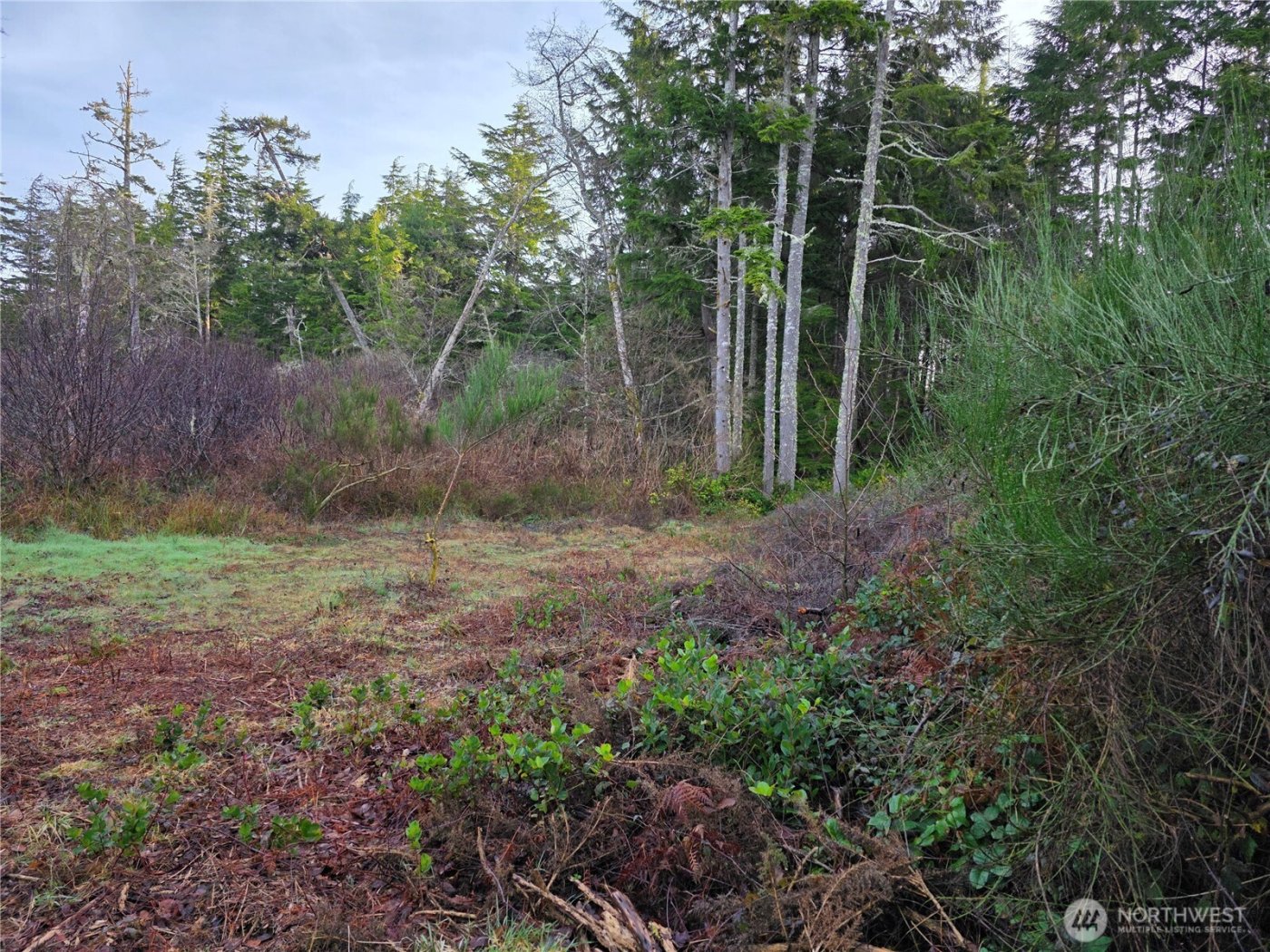 3011 202nd Street , Ocean Park, WA 98640