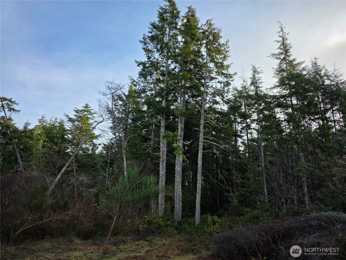 3011 202nd Street , Ocean Park, WA 98640