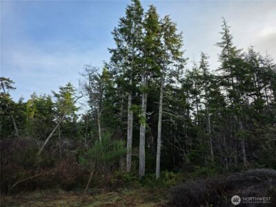 3011 202nd Street , Ocean Park, WA 98640 - Photo 5