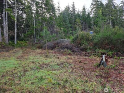 3011 202nd Street , Ocean Park, WA 98640 - Photo 7