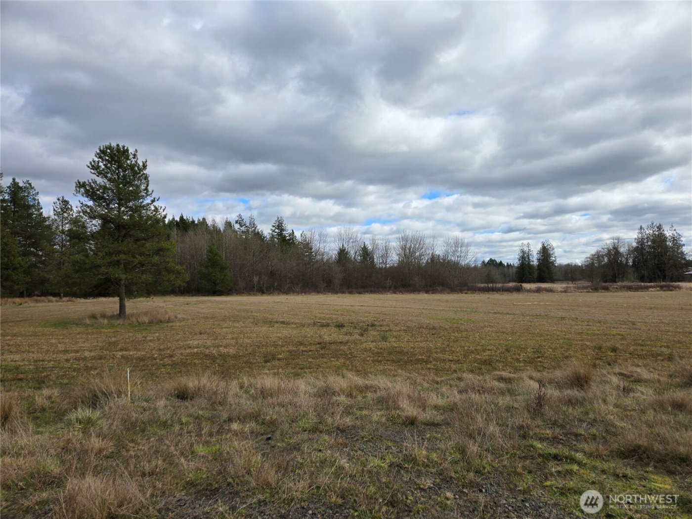 22 X Nicholson Road , Ethel, WA 98542