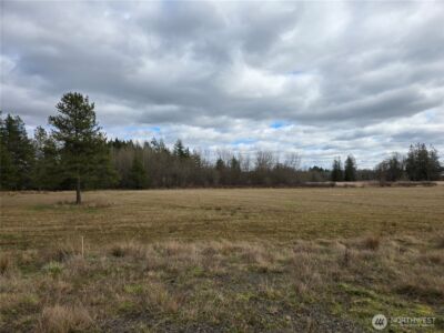 22 X Nicholson Road , Ethel, WA 98542 - Photo 11