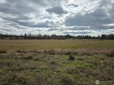 22 X Nicholson Road , Ethel, WA 98542 - Photo 13