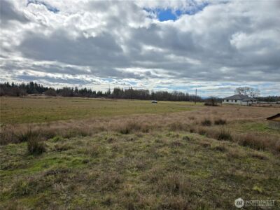 22 X Nicholson Road , Ethel, WA 98542 - Photo 14