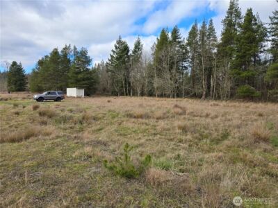 22 X Nicholson Road , Ethel, WA 98542 - Photo 17