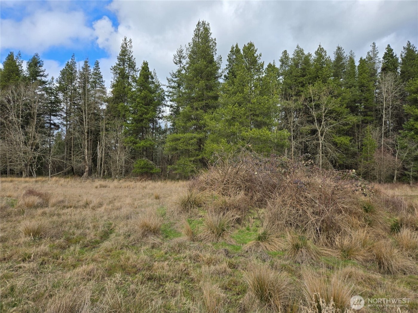 22 X Nicholson Road , Ethel, WA 98542