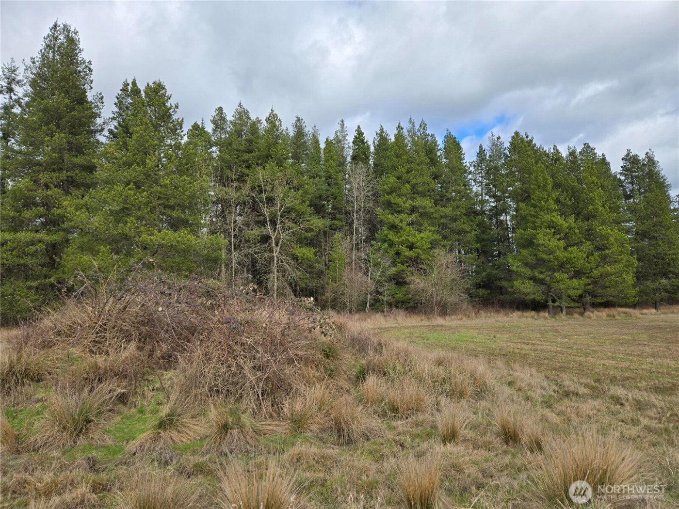 22 X Nicholson Road , Ethel, WA 98542