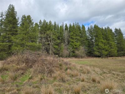 22 X Nicholson Road , Ethel, WA 98542 - Photo 19