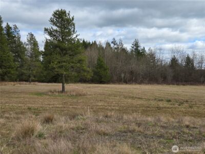 22 X Nicholson Road , Ethel, WA 98542 - Photo 20