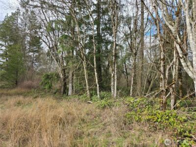 22 X Nicholson Road , Ethel, WA 98542 - Photo 23