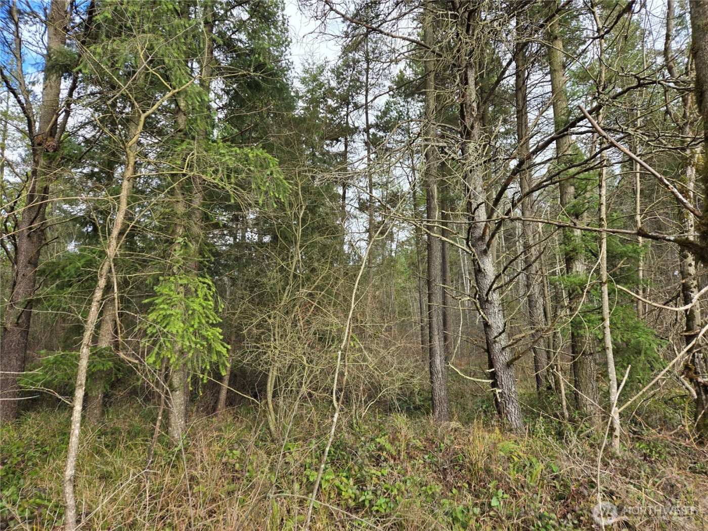 22 X Nicholson Road , Ethel, WA 98542