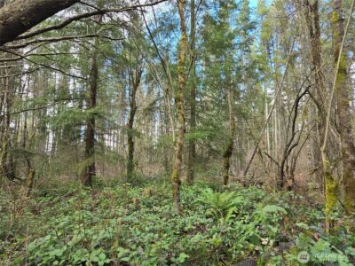 22 X Nicholson Road , Ethel, WA 98542 - Photo 25