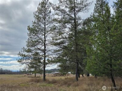 22 X Nicholson Road , Ethel, WA 98542 - Photo 27