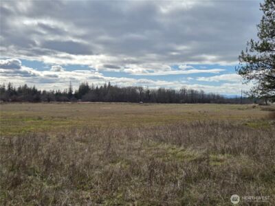 22 X Nicholson Road , Ethel, WA 98542 - Photo 28