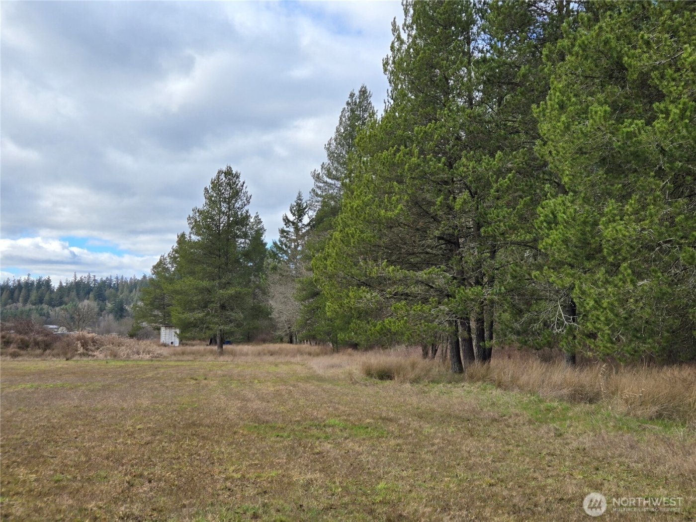 22 X Nicholson Road , Ethel, WA 98542