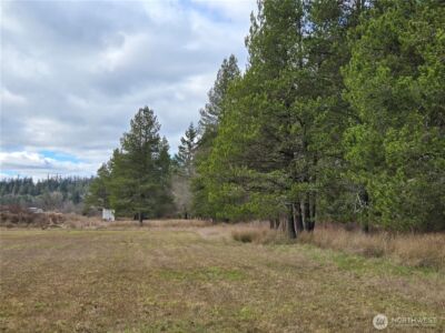 22 X Nicholson Road , Ethel, WA 98542 - Photo 29