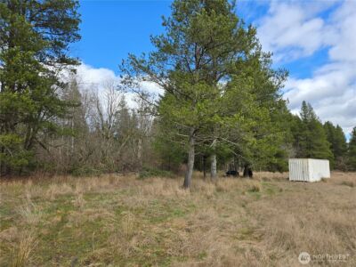 22 X Nicholson Road , Ethel, WA 98542 - Photo 31