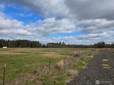 22 X Nicholson Road , Ethel, WA 98542 - Photo 5