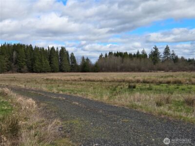 22 X Nicholson Road , Ethel, WA 98542 - Photo 8