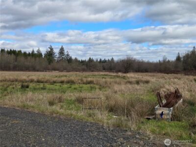 22 X Nicholson Road , Ethel, WA 98542 - Photo 9