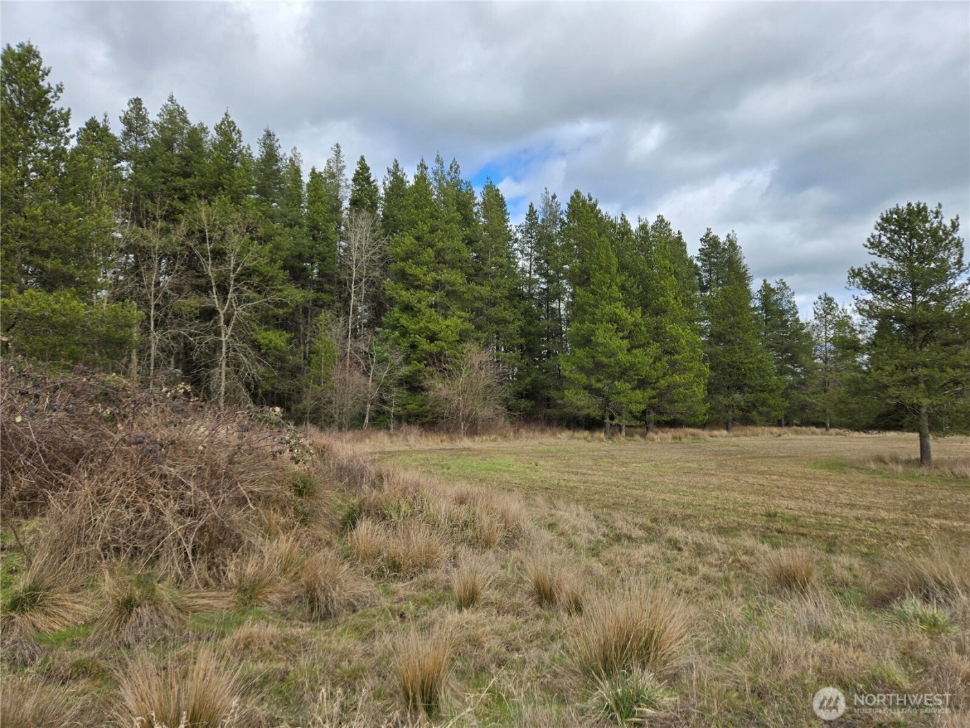 22 X Nicholson Road , Ethel, WA 98542