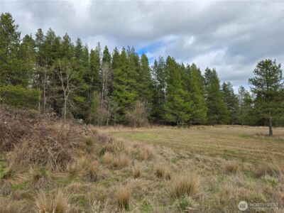 22 X Nicholson Road , Ethel, WA 98542 - Photo 10