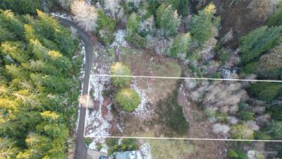 221 E Linda Vista Court , Union, WA 98592 - Photo 4