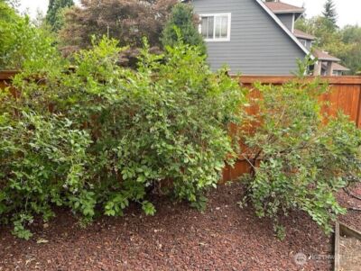 12312 9th Street E, Edgewood, WA 98372 - Photo 18