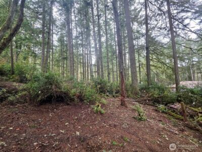 11312 Yoman Road , Anderson Island, WA 98303