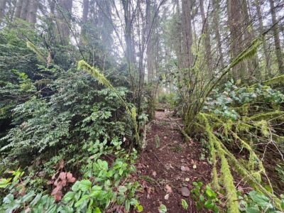 11312 Yoman Road , Anderson Island, WA 98303 - Photo 2