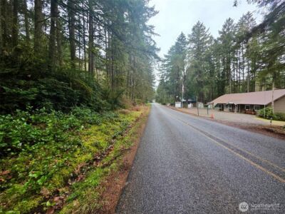 11312 Yoman Road , Anderson Island, WA 98303 - Photo 3