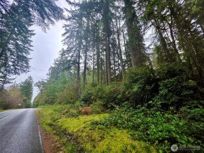 11312 Yoman Road , Anderson Island, WA 98303 - Photo 4