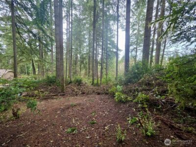 11312 Yoman Road , Anderson Island, WA 98303 - Photo 5