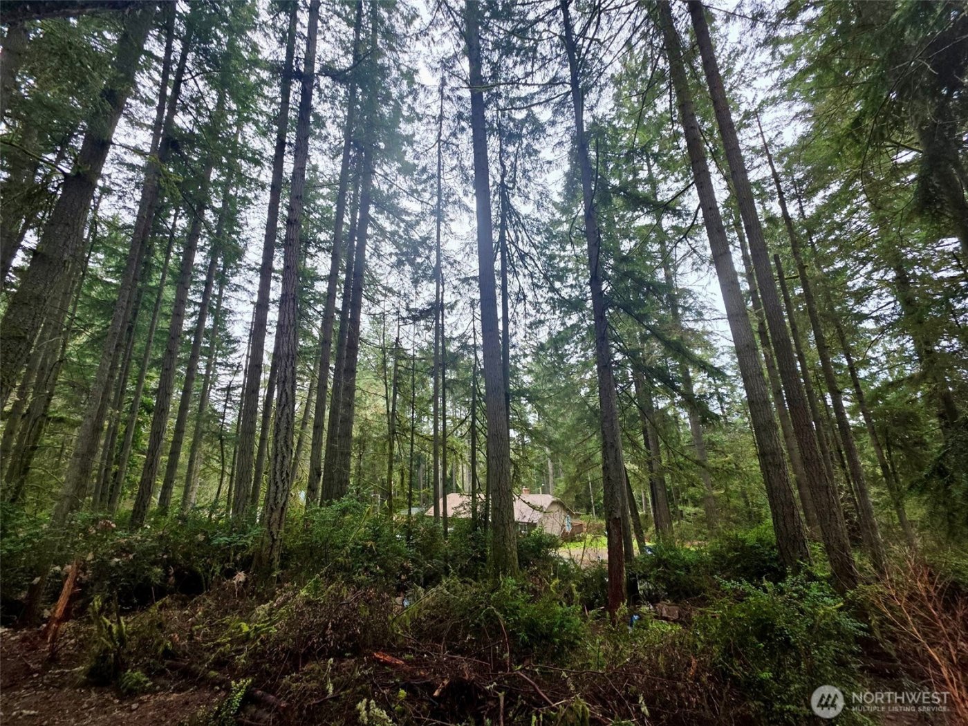 11312 Yoman Road , Anderson Island, WA 98303