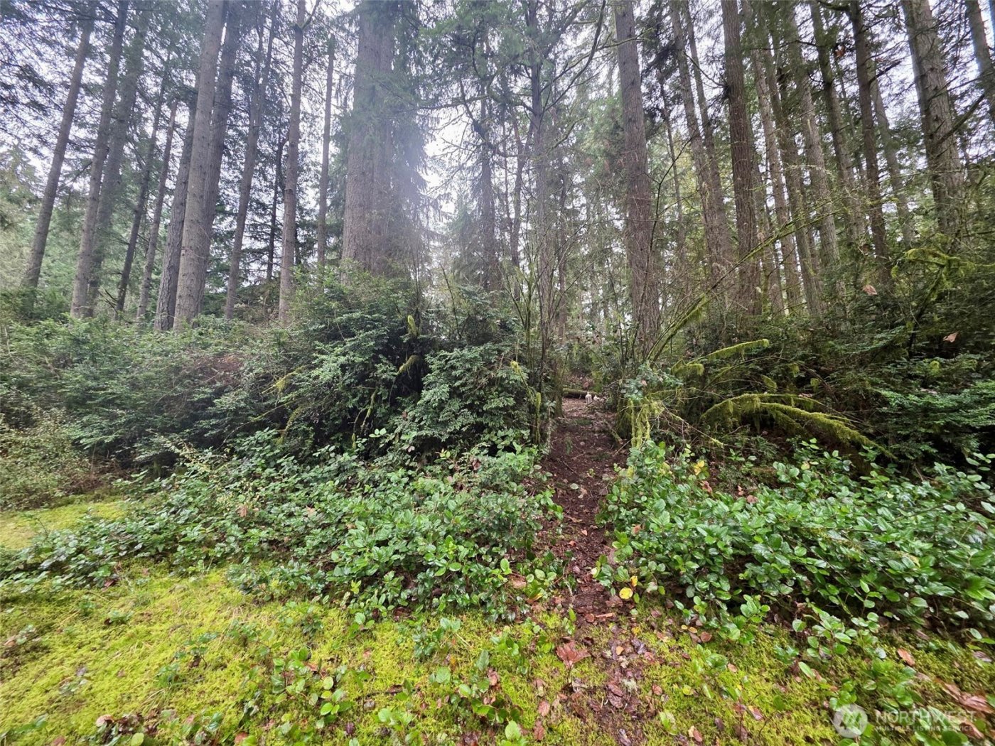 11312 Yoman Road , Anderson Island, WA 98303