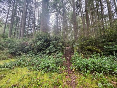 11312 Yoman Road , Anderson Island, WA 98303 - Photo 7