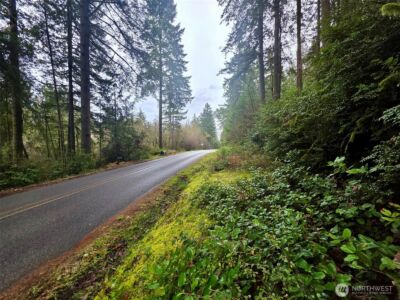 11312 Yoman Road , Anderson Island, WA 98303 - Photo 8